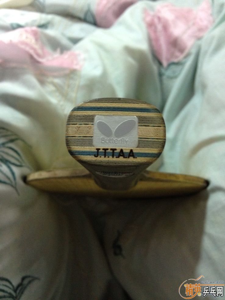 �����L���л�VIS�����Ž�Ƥ