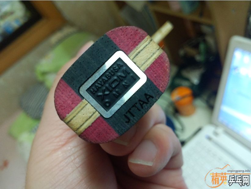 �����źͽ�������