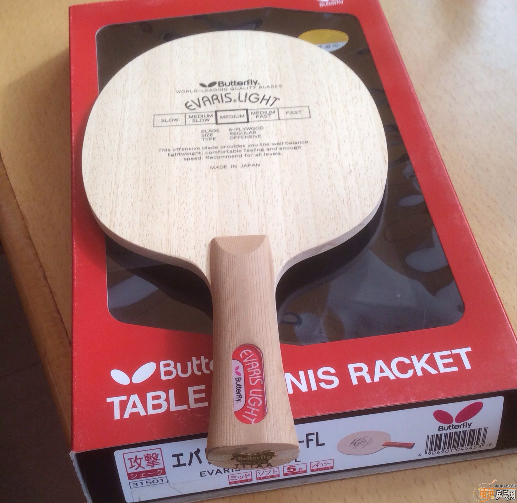 ��ֻȫ�����ƺ�����ԭ�У�