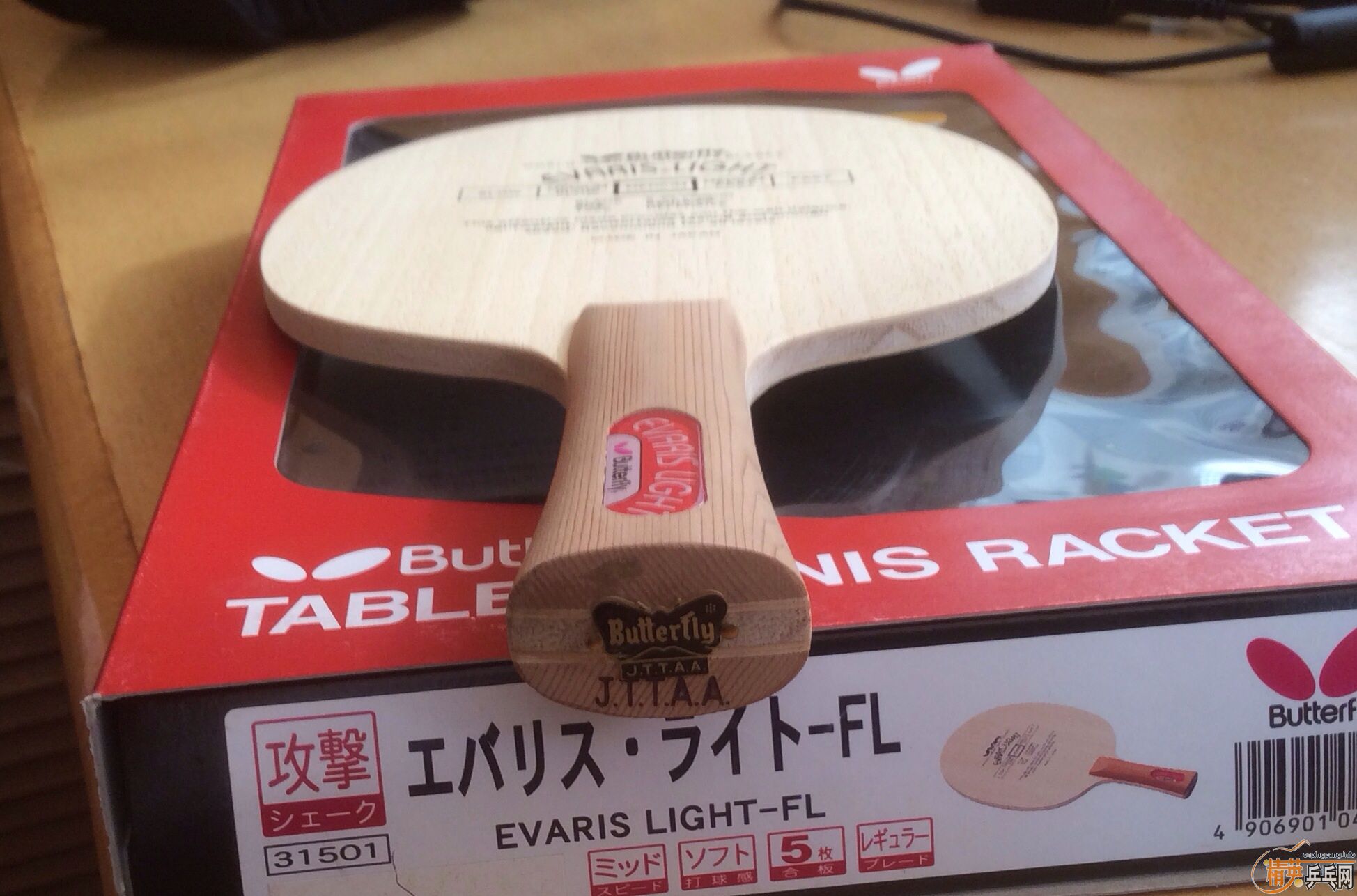 ��ֻȫ�����ƺ�����ԭ�У�