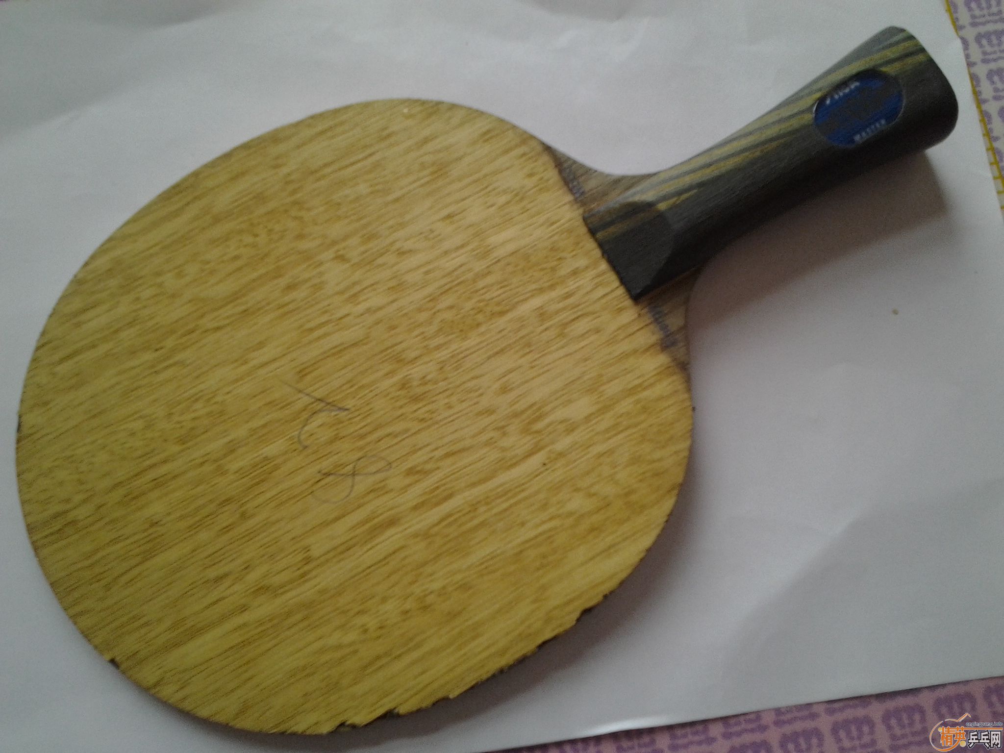 ���˳���֧�����ģ��ʺϳ�ѧ���ر���С����ŷƬOC����ʤEG