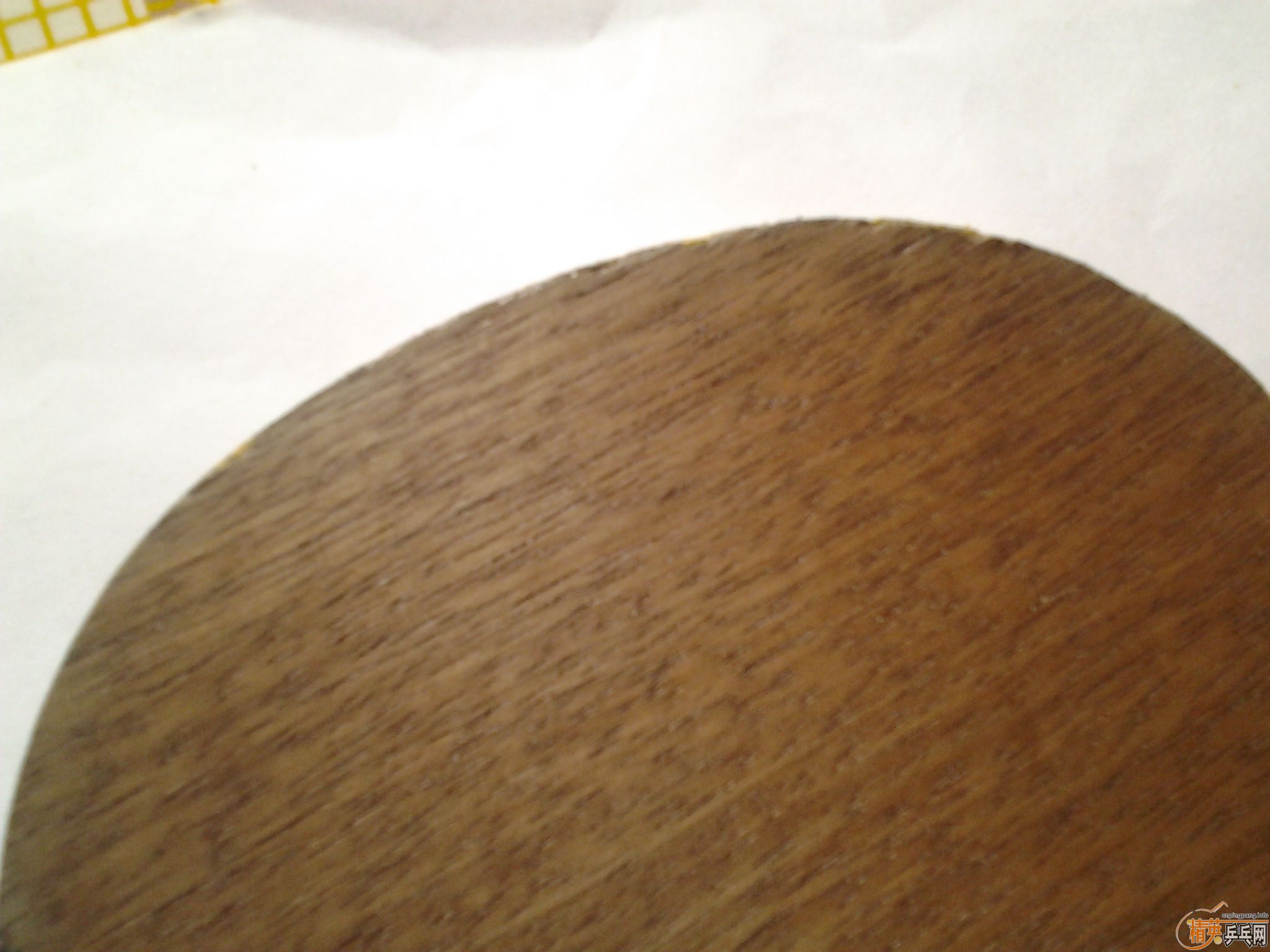 ���˳���֧�����ģ��ʺϳ�ѧ���ر���С����ŷƬOC����ʤEG