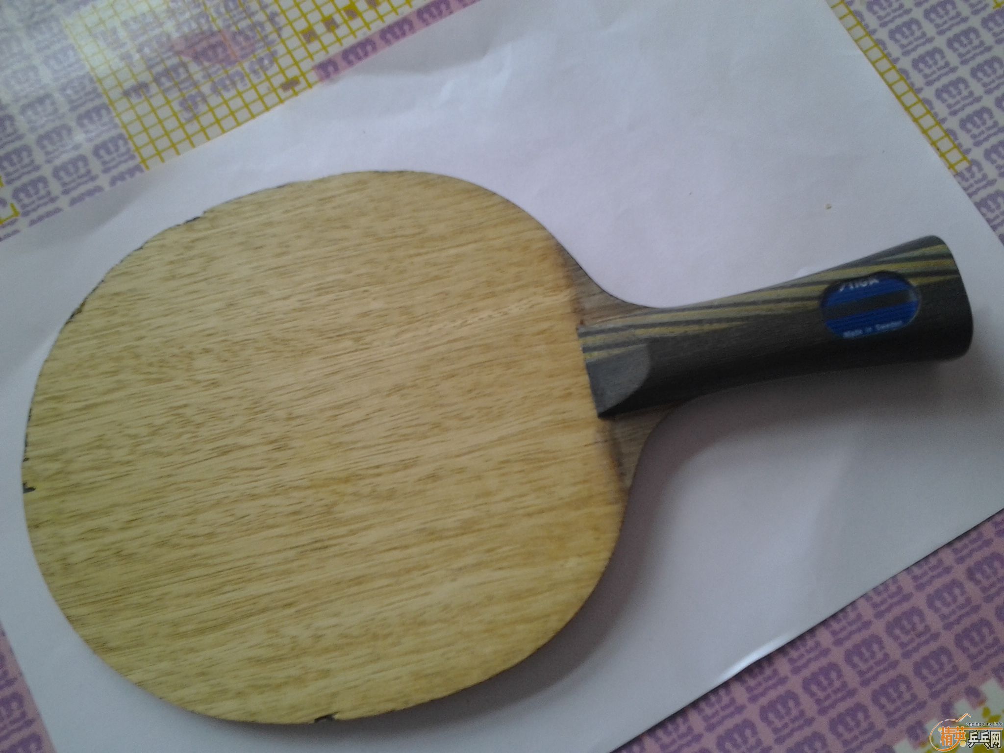 ���˳���֧�����ģ��ʺϳ�ѧ���ر���С����ŷƬOC����ʤEG