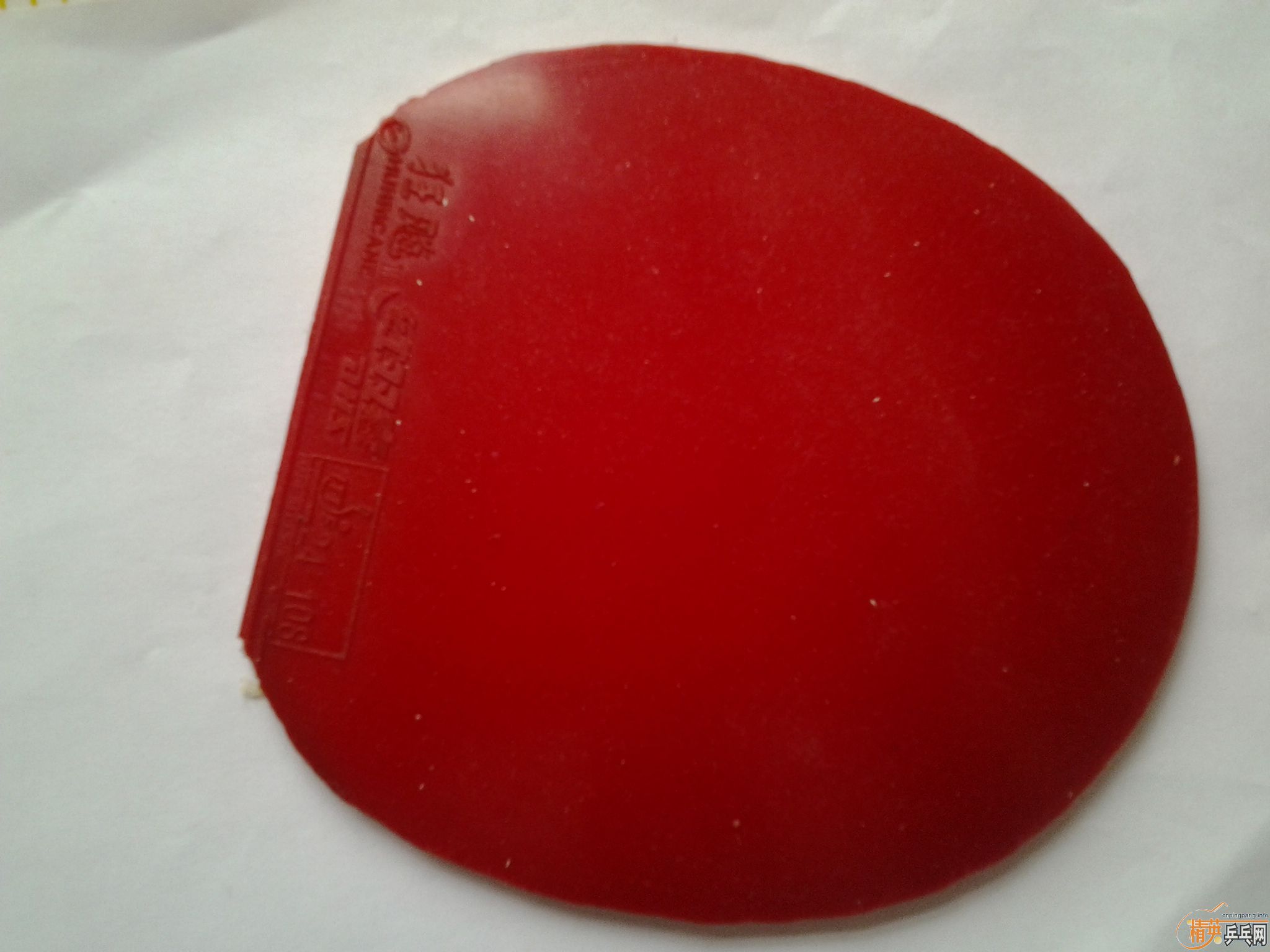 ���˳���֧�����ģ��ʺϳ�ѧ���ر���С����ŷƬOC����ʤEG