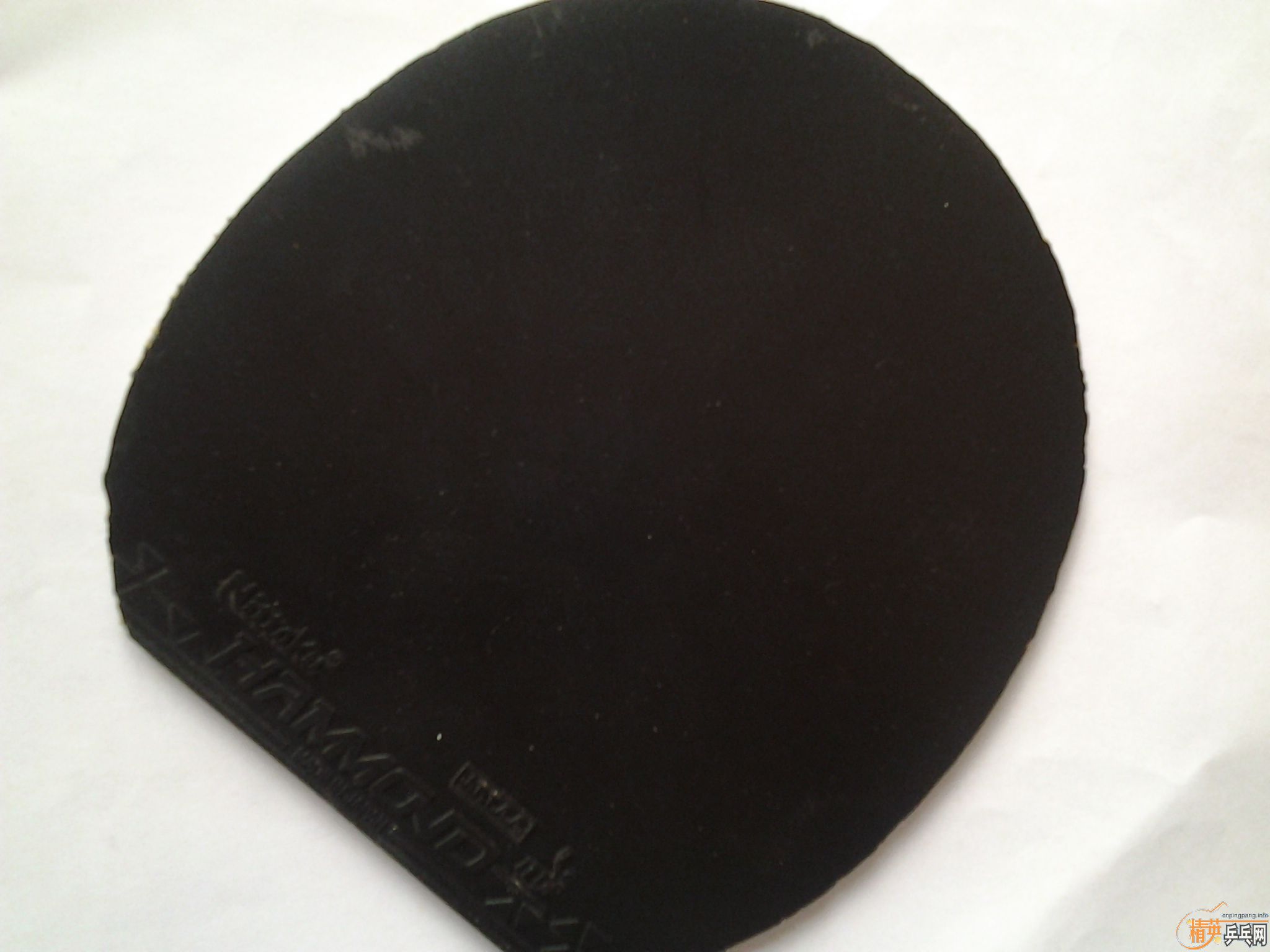 ���˳���֧�����ģ��ʺϳ�ѧ���ر���С����ŷƬOC����ʤEG