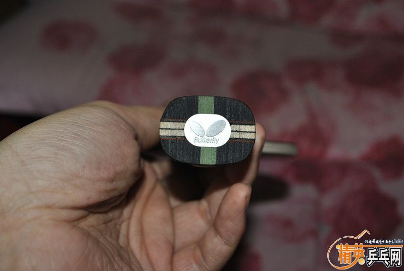 �ؼ۳�  ������̼    95�� ����