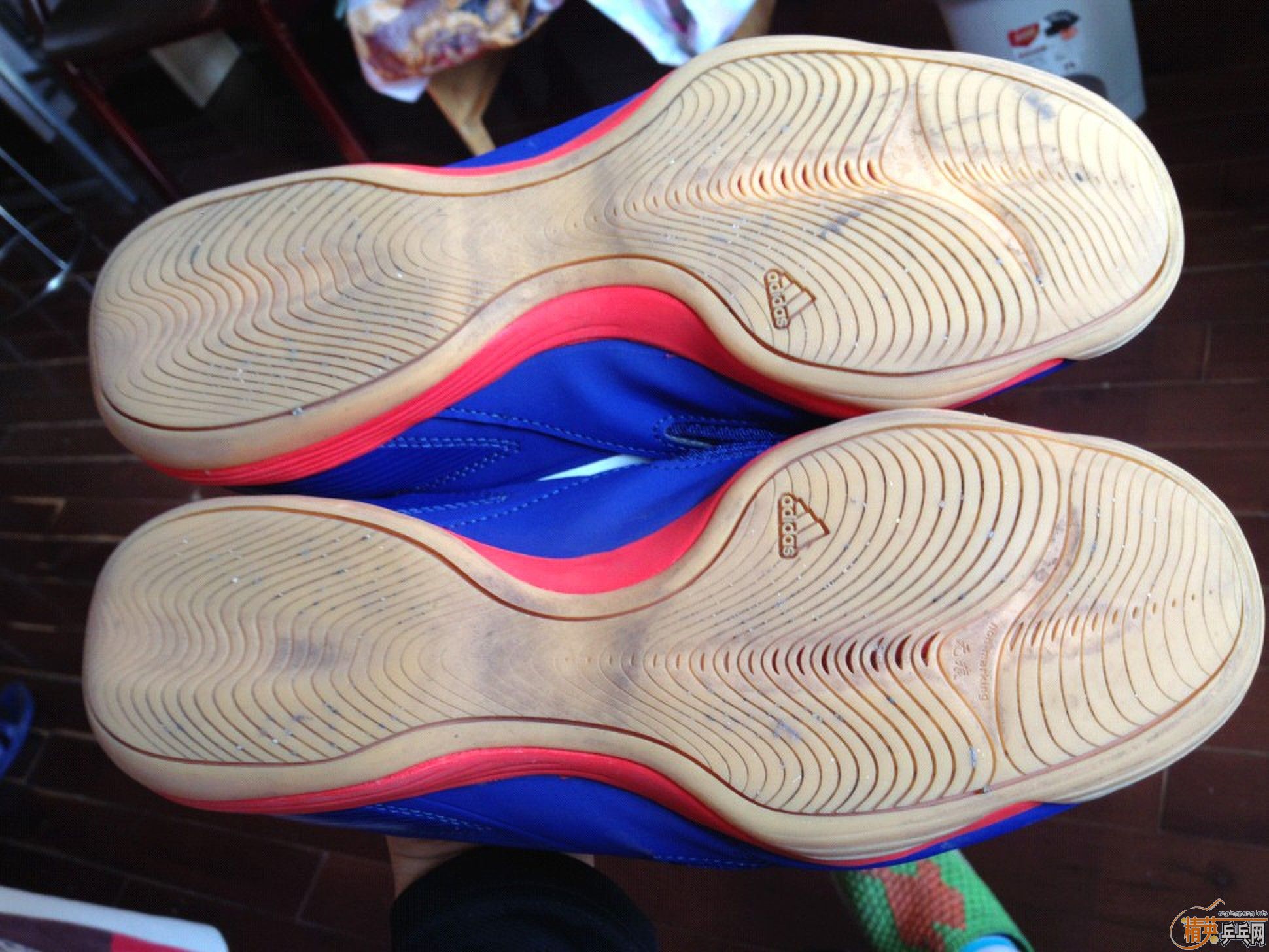 9���£�����ƹ����Ь����������������