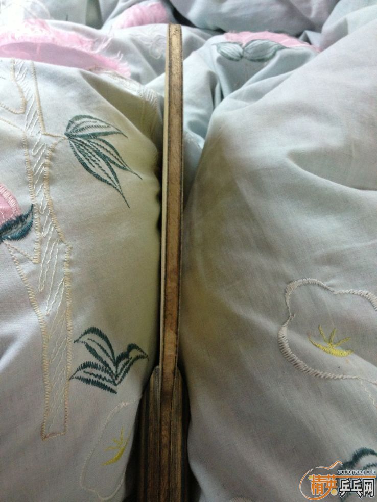 L��VIS���м��Ž�Ƥ