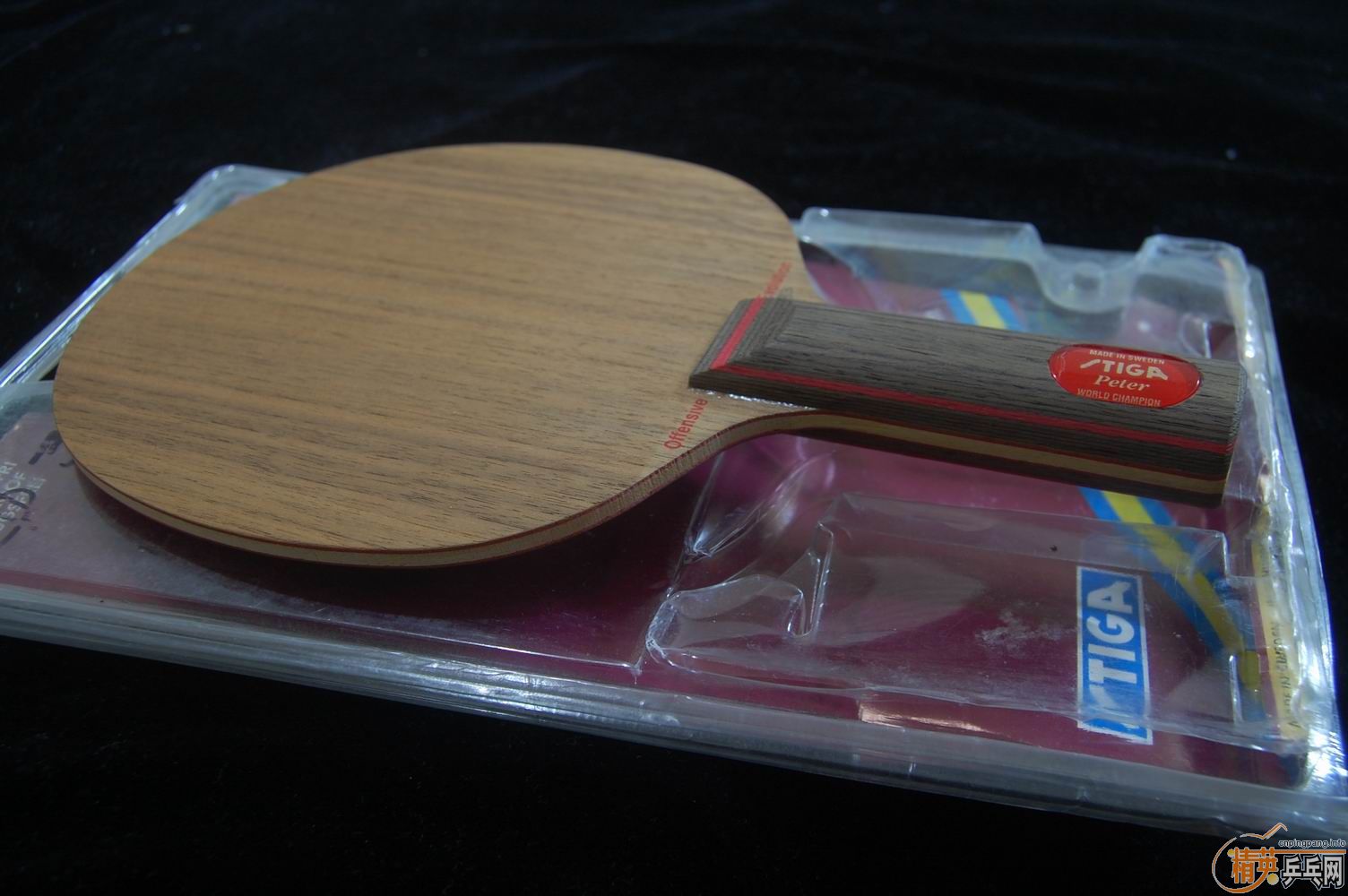 ȫ��Stiga Peter Carlsson Offensive Evolution ST