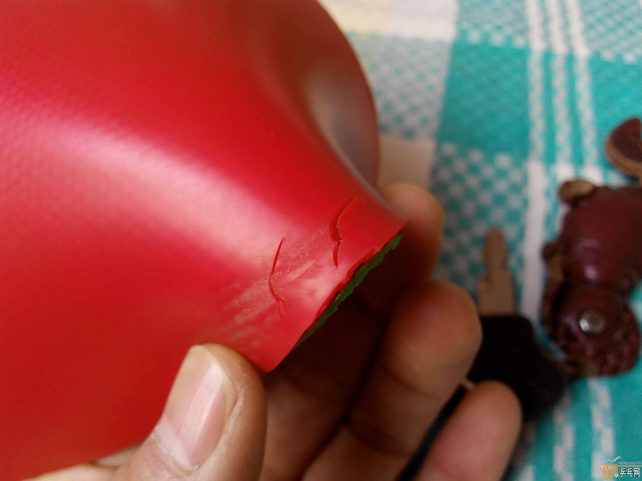 [�Ƽ�]��vps v��������������M3����ɷT��cl wrb