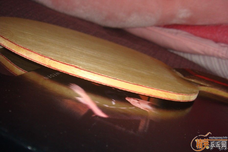 ��֧�������ײ˼�˦��Stiga AE���л������Ͷ��ɫ �����S1һ�ţ�165����~~~~~~~~~�ڸ�AE��ʹ�ø���~��������ȫ�����ˣ���Ҫ�ټ��ˣ�лл