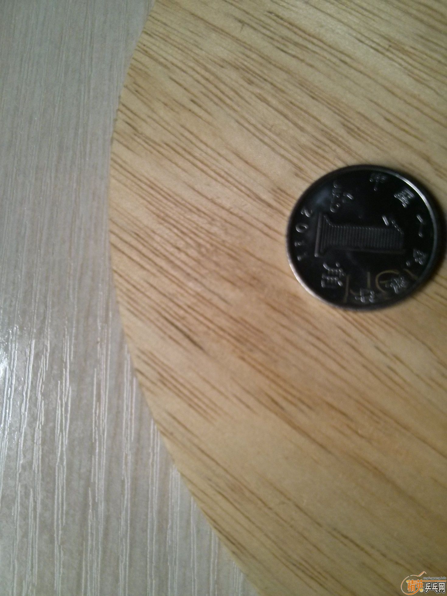 @@@@@@@��ֻ���һ�ε�ŷ��FL��ķ����180����@@@@@@@@@