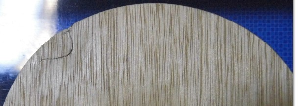 ���Ӵ����������۳�������Ѫ���װ壬�����Ļ�Ȧ������ϲ����Ȧ�����ѿ�������