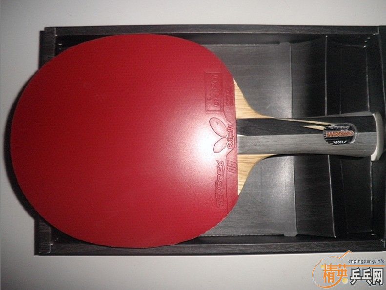 �����ۡ�9.5���л�����T05��������ʡ����