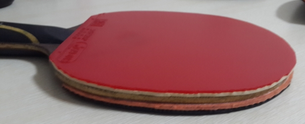 ��˫�������л���������V����V���䣬���տ�