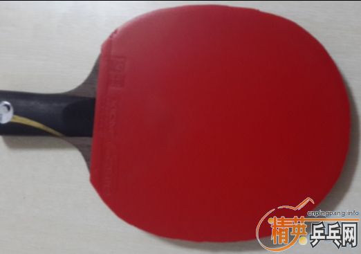 ��˫�������л���������V����V���䣬���տ�