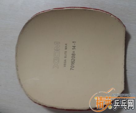 ��˫�������л���������V����V���䣬���տ�