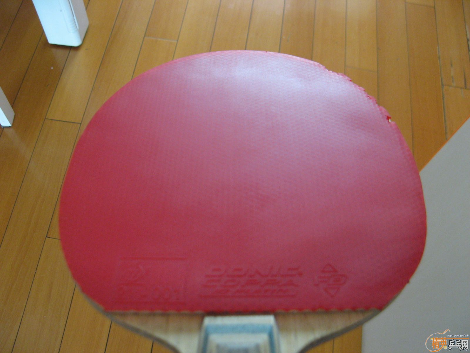 ���� ����jo