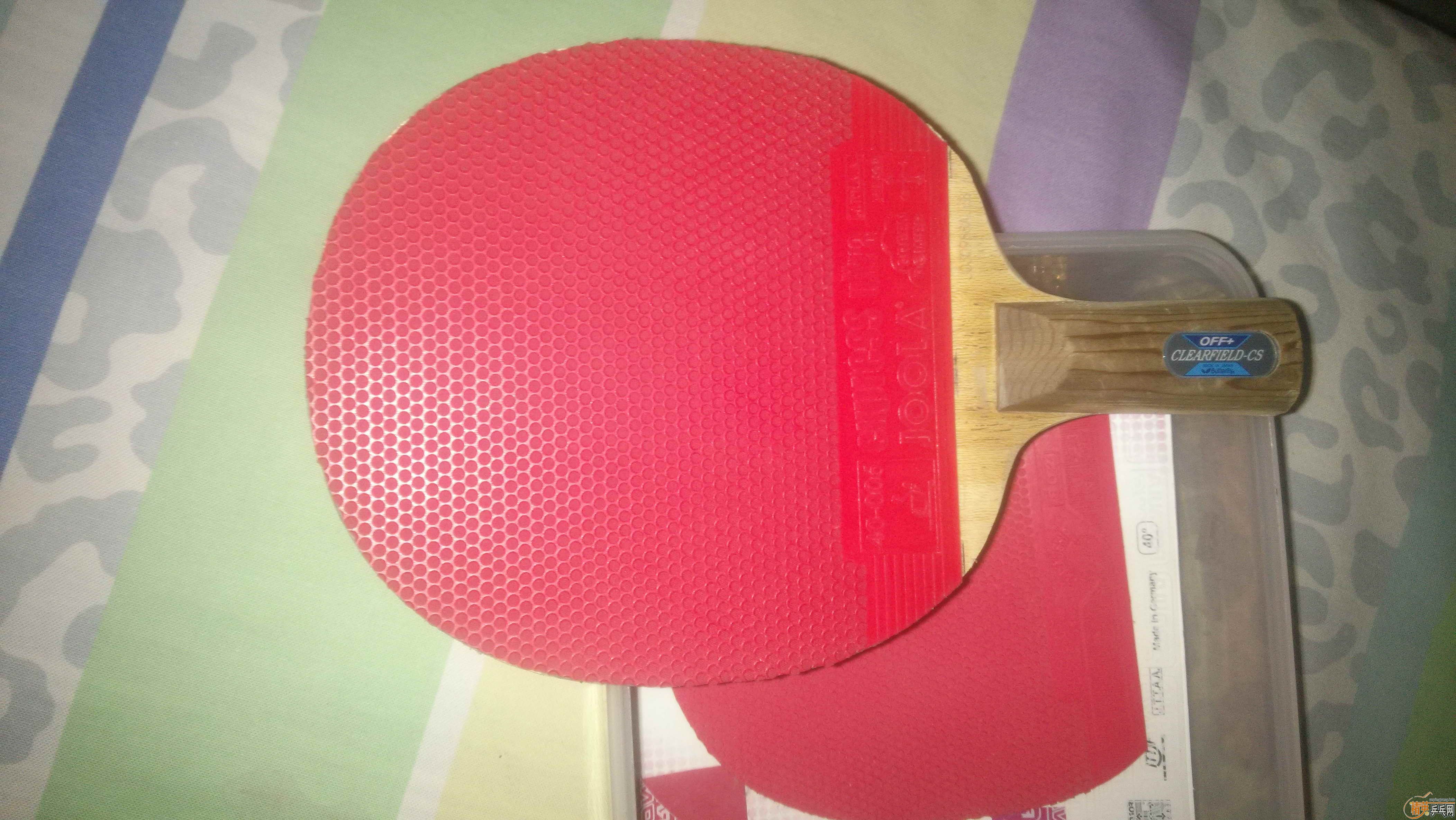 JOOLA�쳵���ٺ�