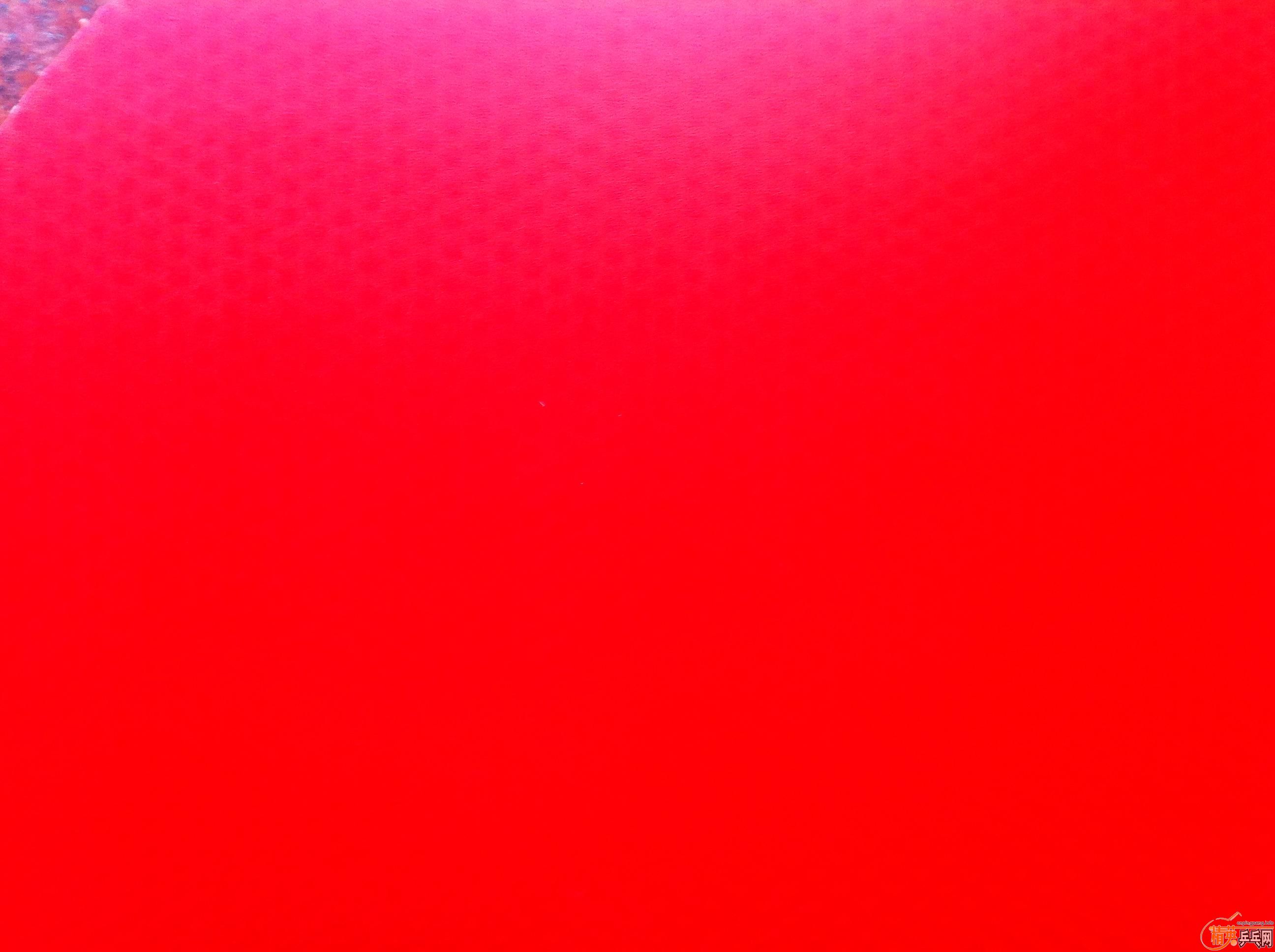 50Ԫ���ʳ�������������37�Ⱥ졢39�Ⱥڣ�û������Σ�50Ԫ�������ˣ����ִ������