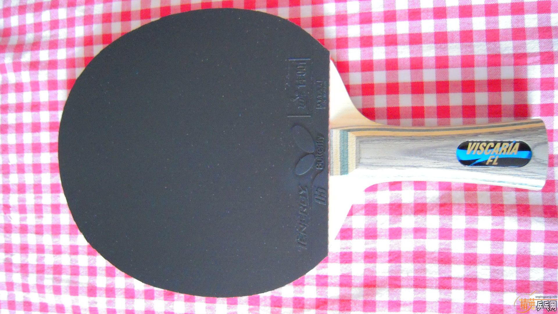 95¹кVISCARIAT0564ãһ1398ʣ