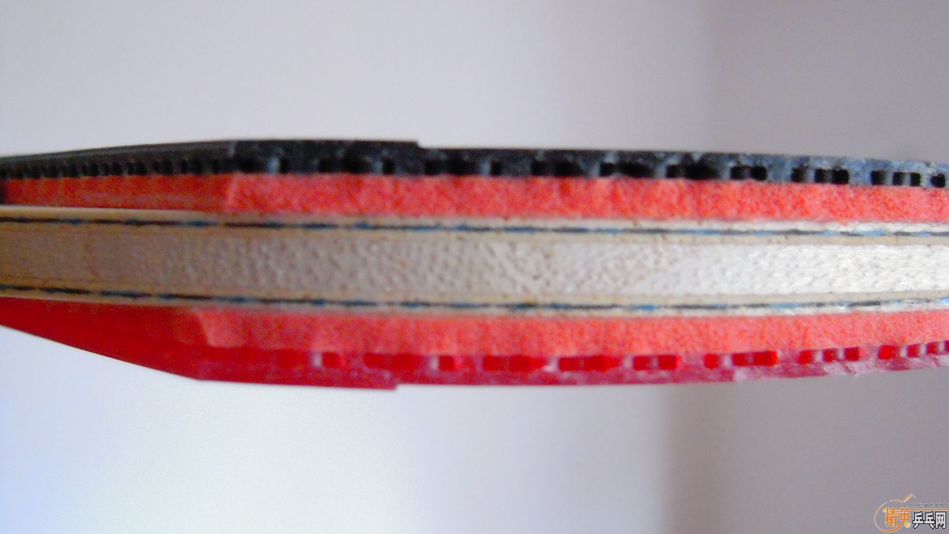 95¹кVISCARIAT0564ãһ1398ʣ