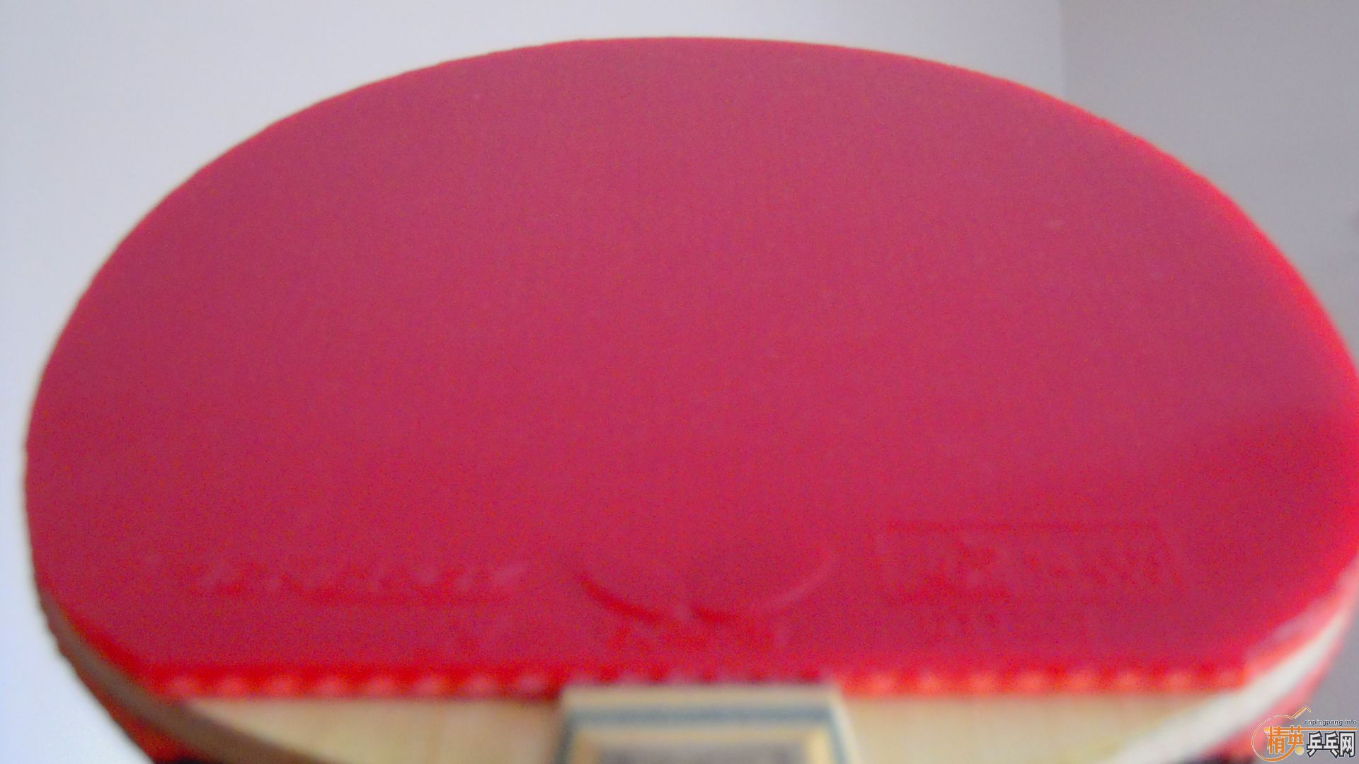 95¹кVISCARIAT0564ãһ1398ʣ