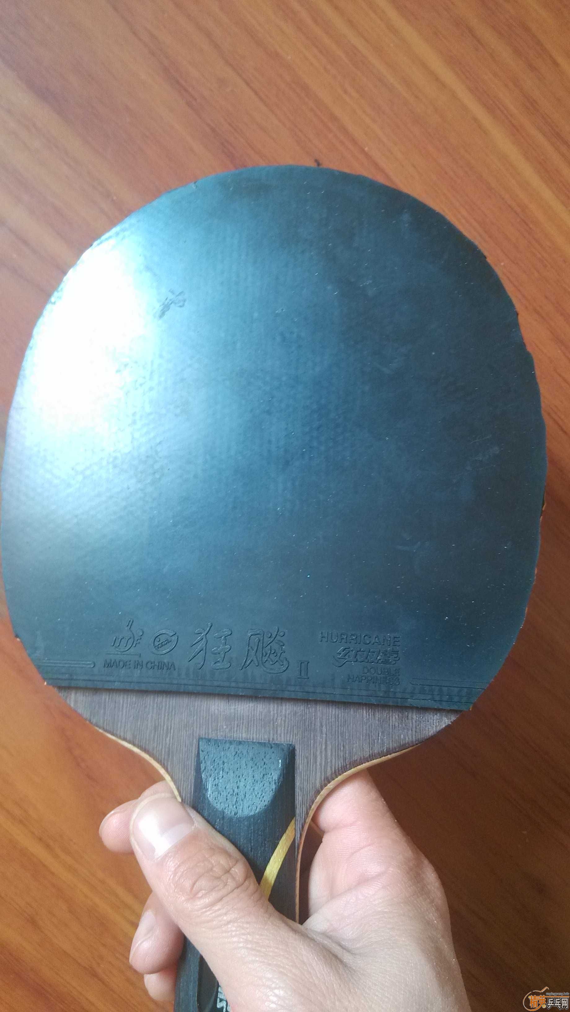 ����ɫ�Ͻ�����ֹ��������ɫ������� SPEED FX��