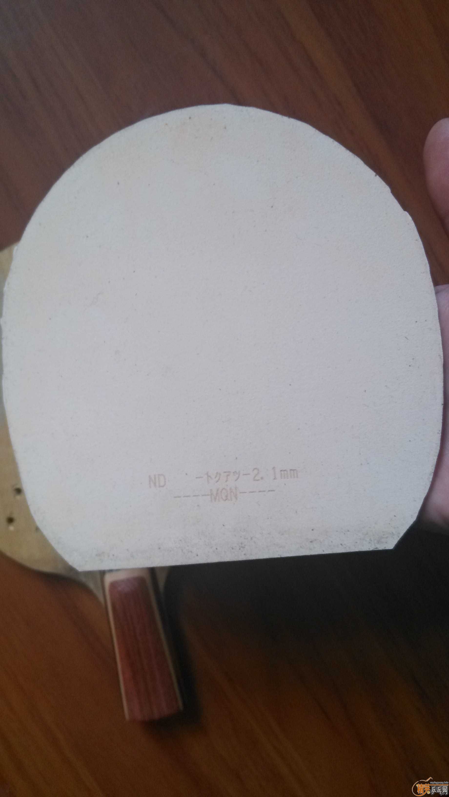 ����ɫ�Ͻ�����ֹ��������ɫ������� SPEED FX��