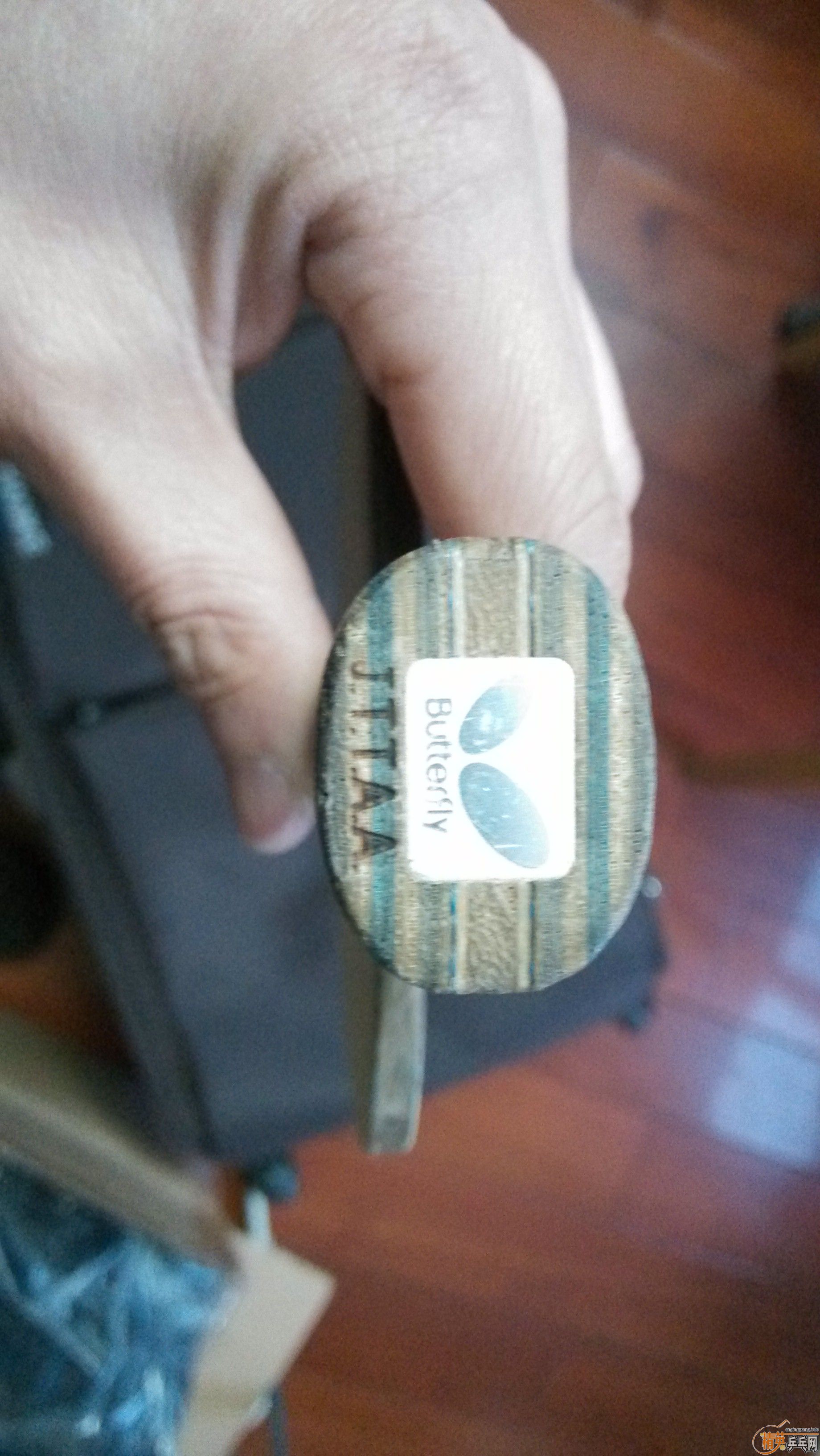 ���ƺ�������Ǯ�����ƺ��������������߶�̼��ά����