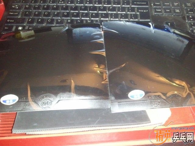 �����������ֽ�Ƥ