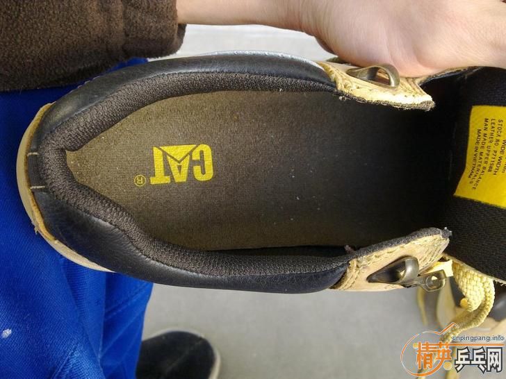 ������CATţƤ��Ь��280���ʣ�