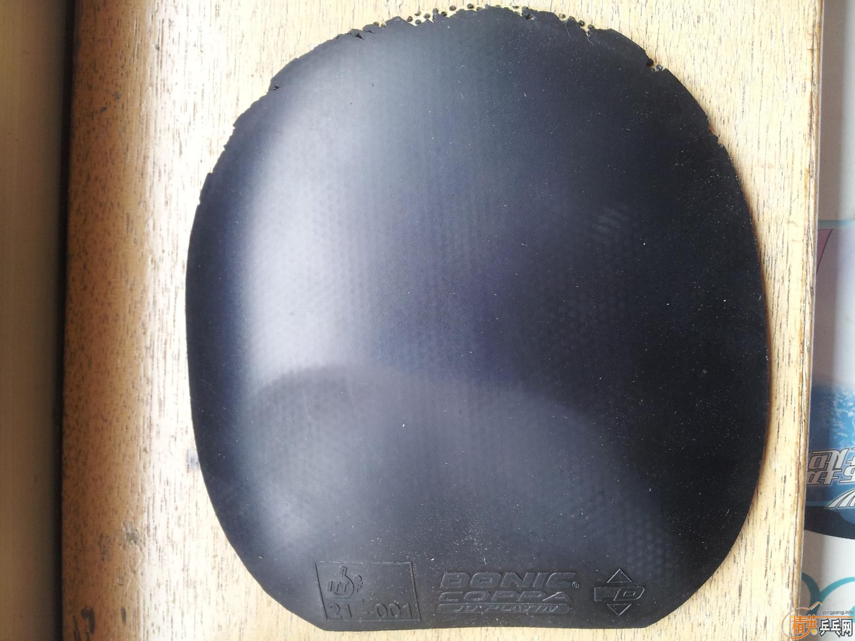 �����ѳ� ���������׽�