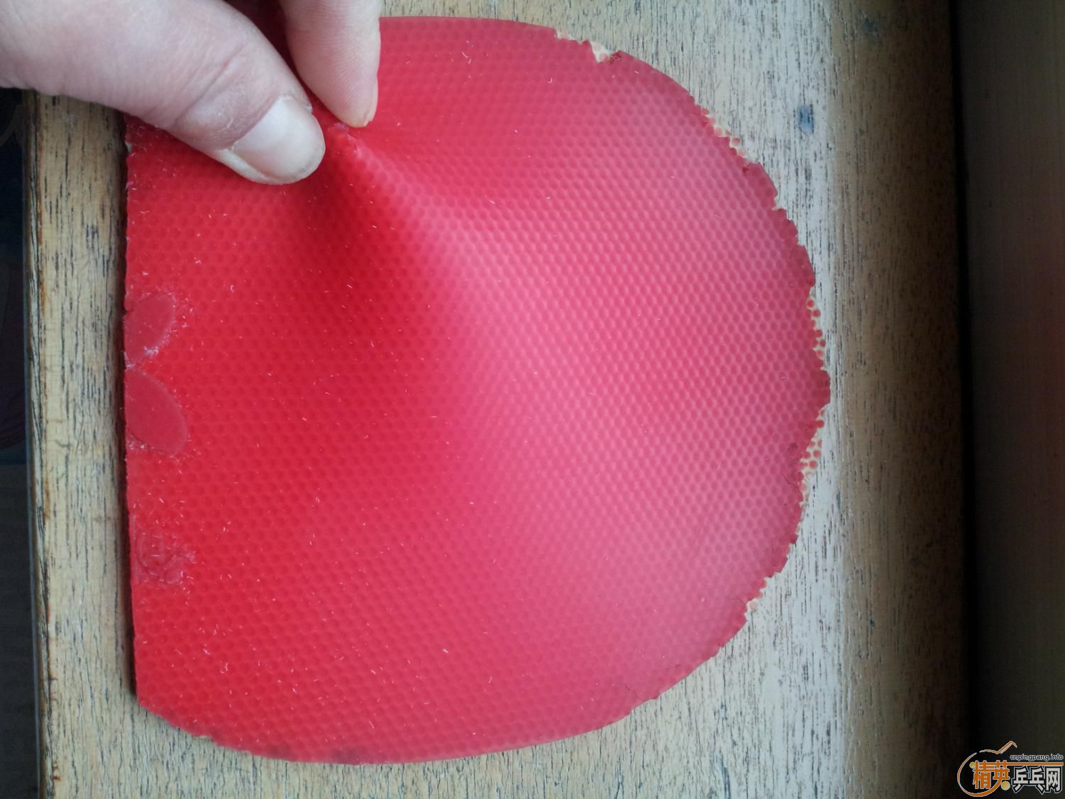 �����ѳ� ���������׽�