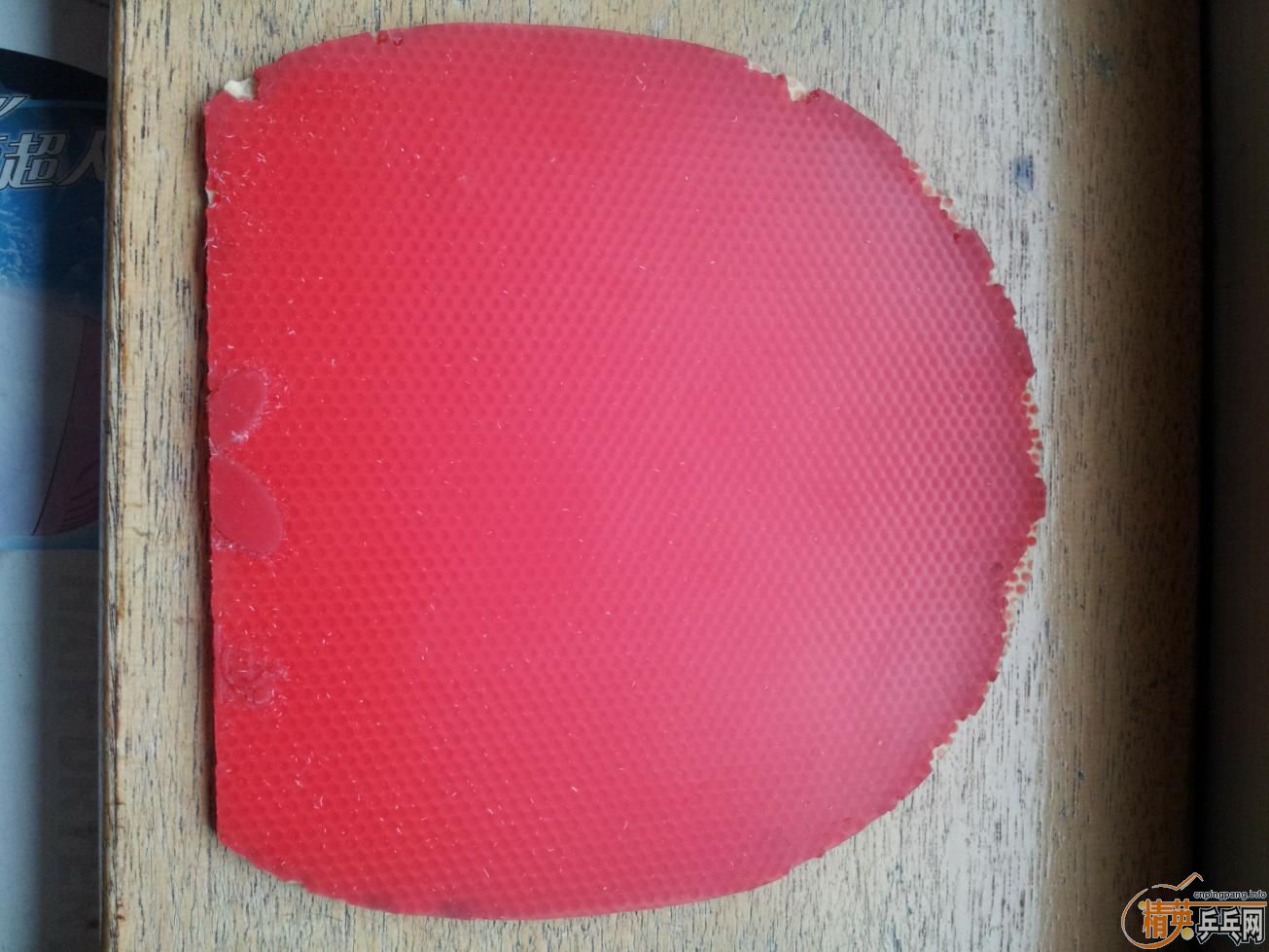 �����ѳ� ���������׽�