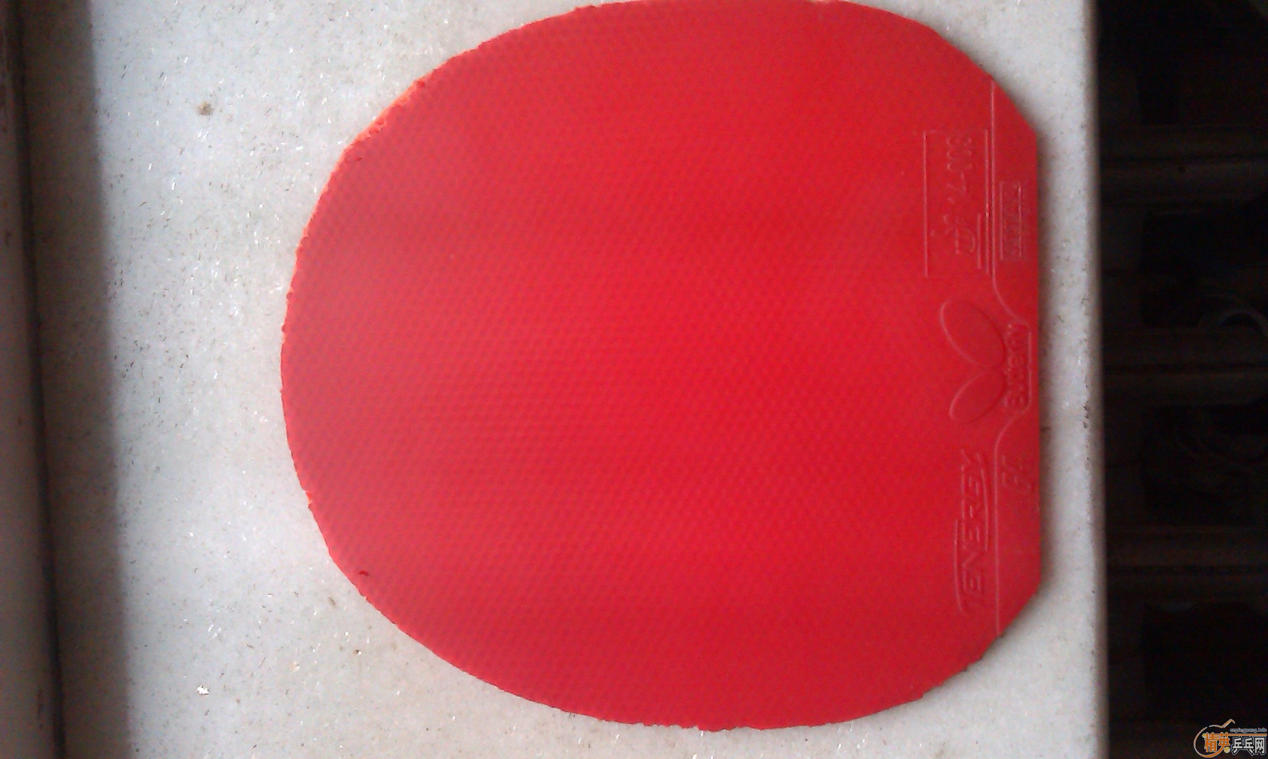 �������������׽�64 ���� 729 ֱ�ᶼ�� �гߴ硿��