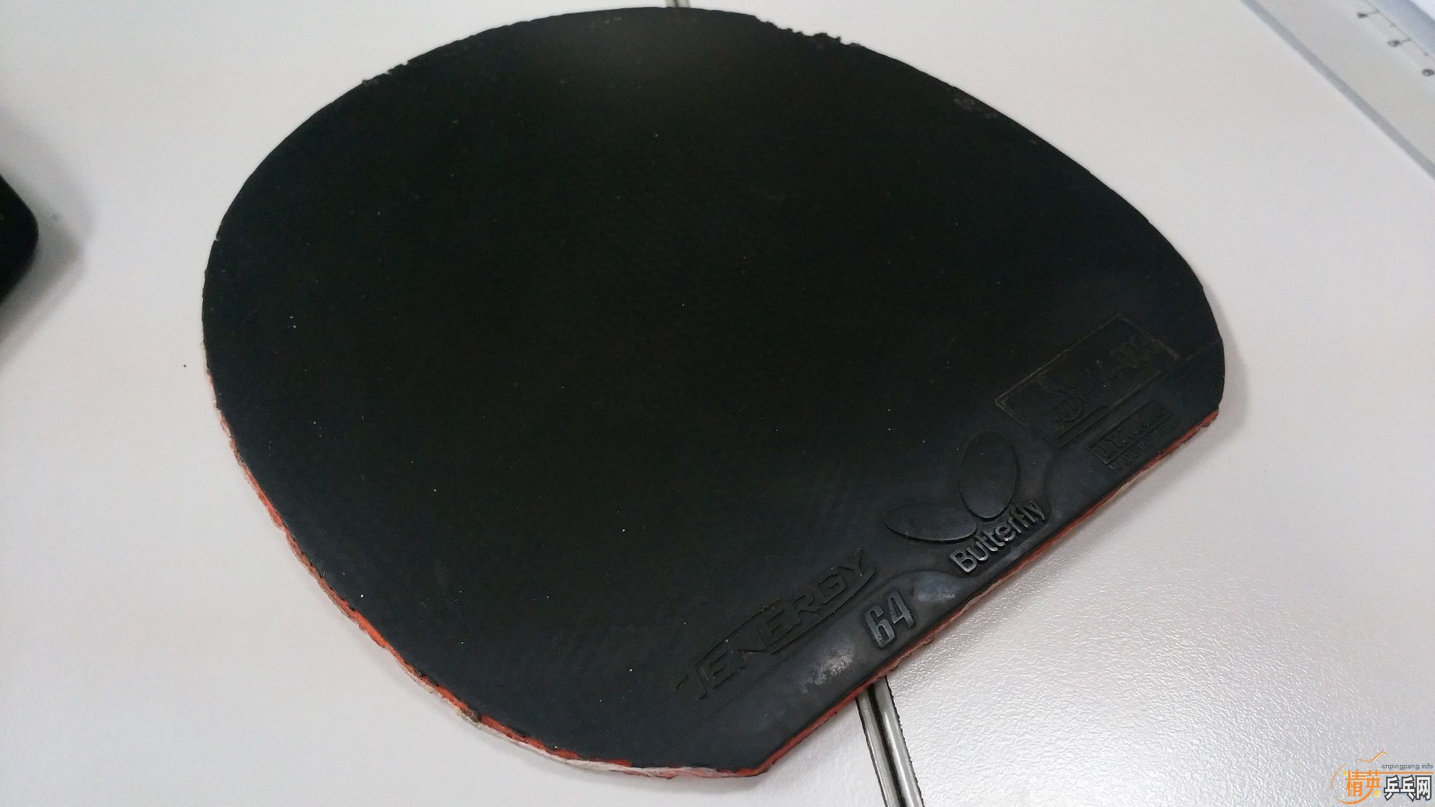 [ԭ��]˹�ٿ�õ��7FL��ST����ά�����FL������T64��ɫ��ͦ������רҵ���ɫ��������ͣ��Ͽ��3�����ɽ�Ƥ