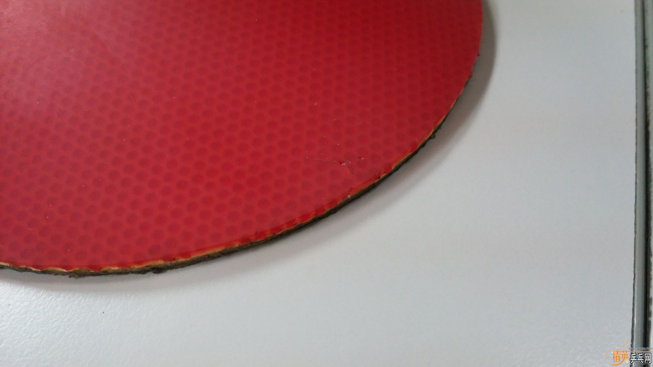 [ԭ��]˹�ٿ�õ��7FL��ST����ά�����FL������T64��ɫ��ͦ������רҵ���ɫ��������ͣ��Ͽ��3�����ɽ�Ƥ