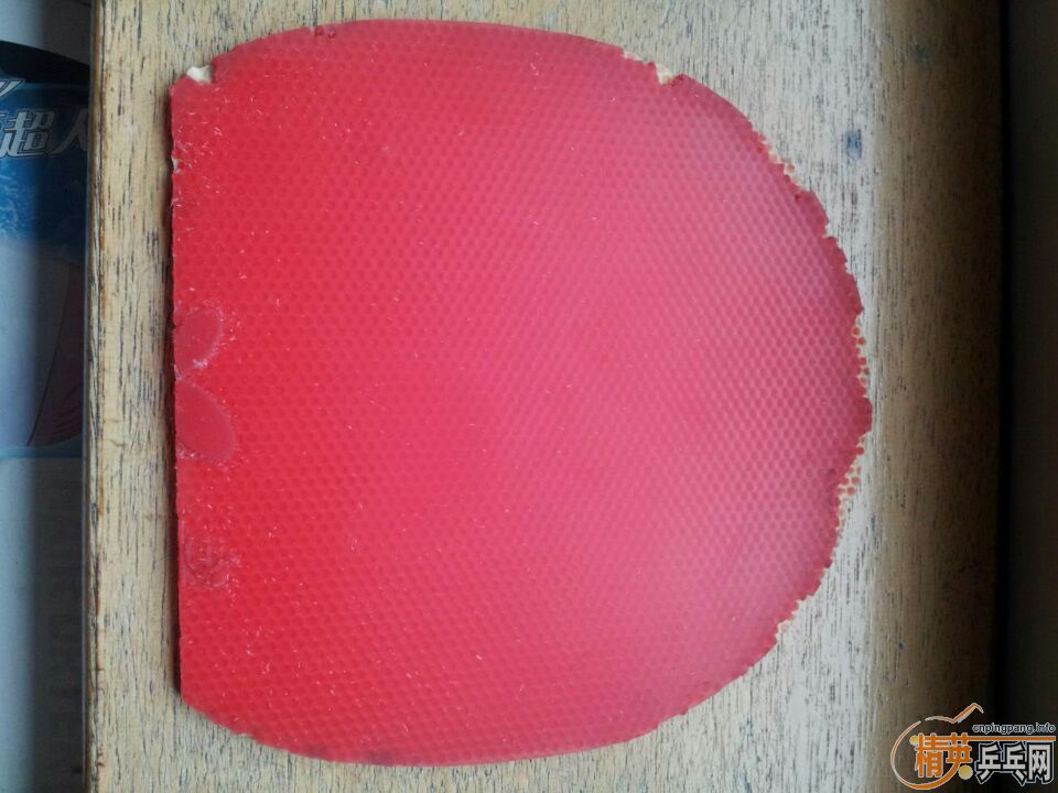 �����ѳ� ���������׽�