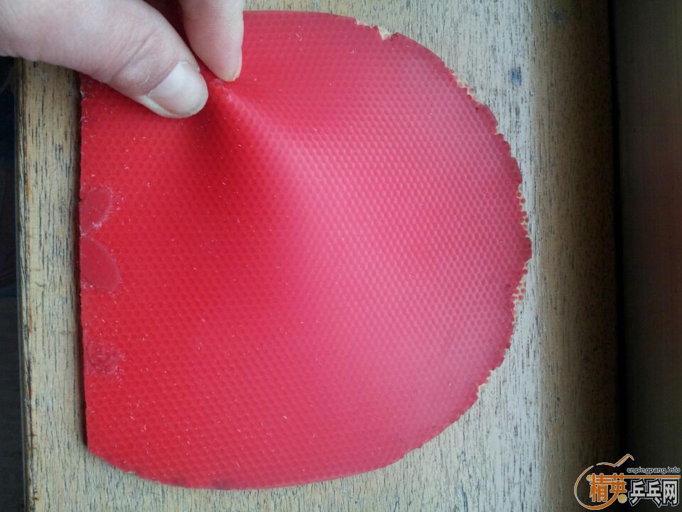 �����ѳ� ���������׽�