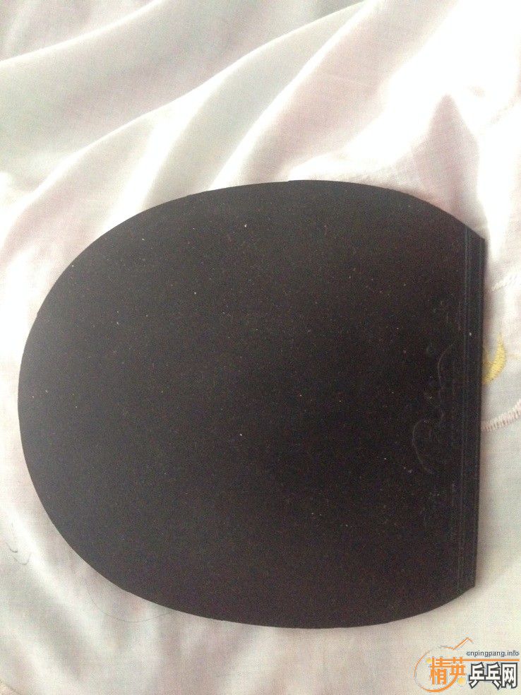 ����������TAMROPA