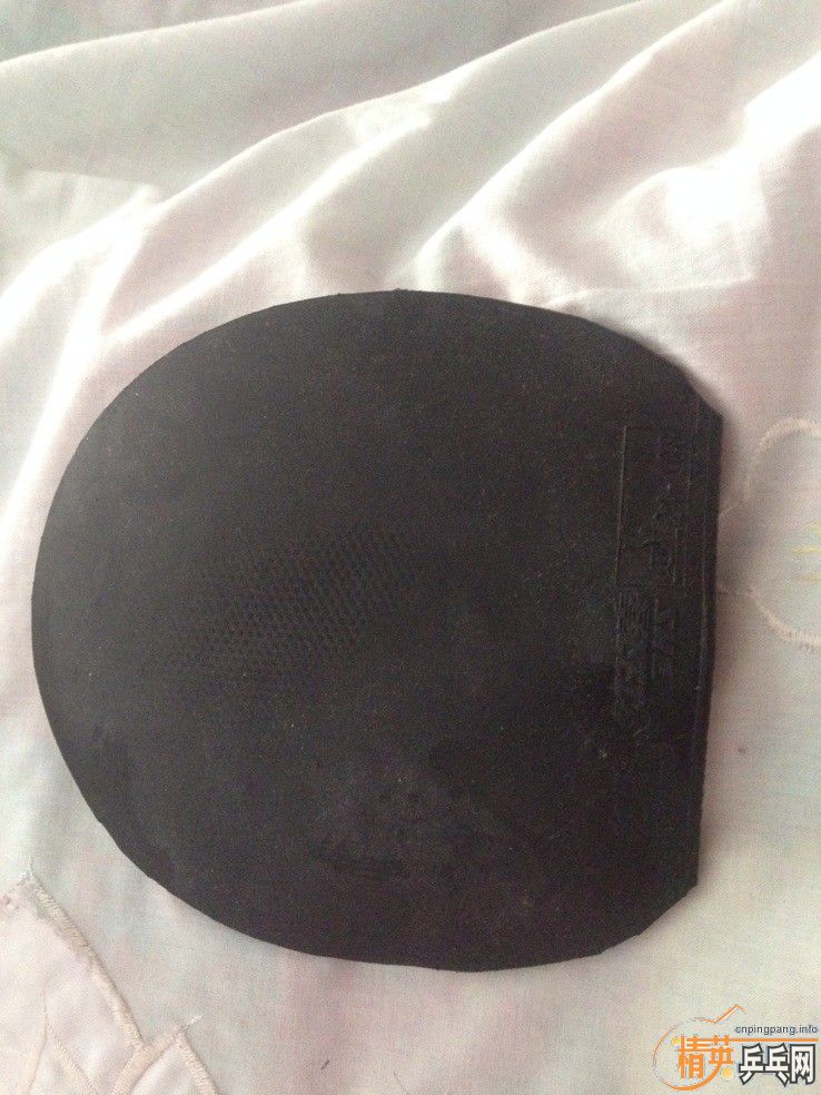 ����������TAMROPA