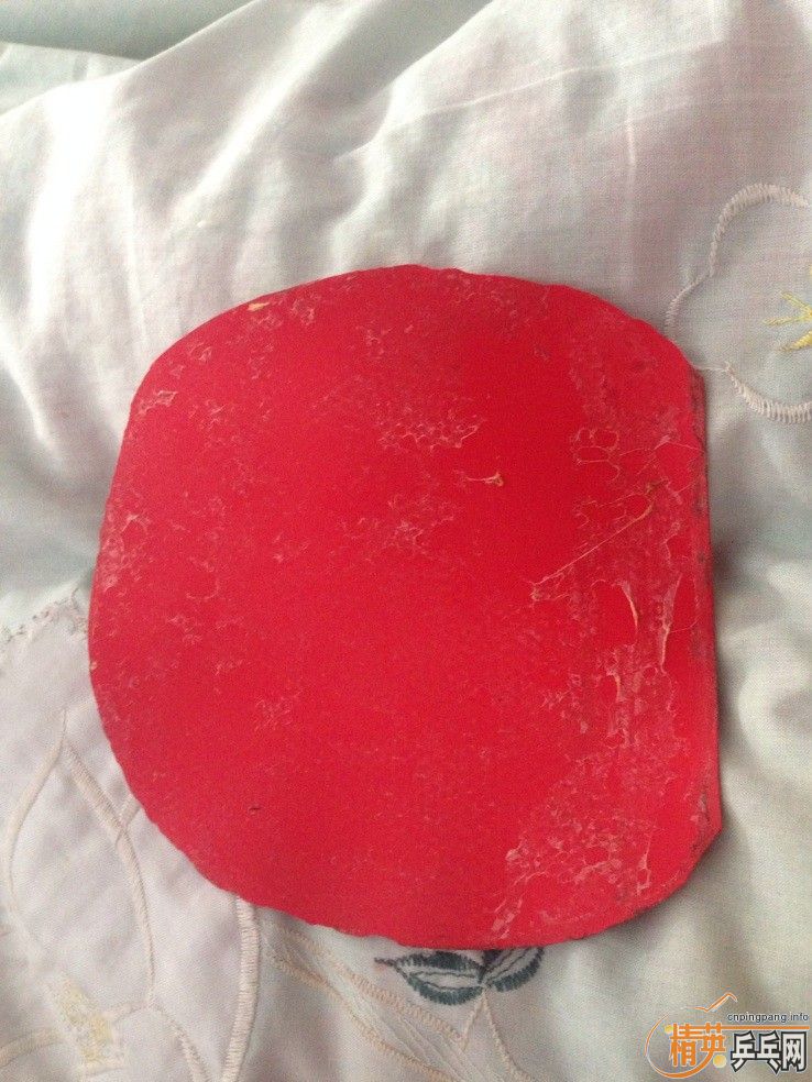 ����������TAMROPA