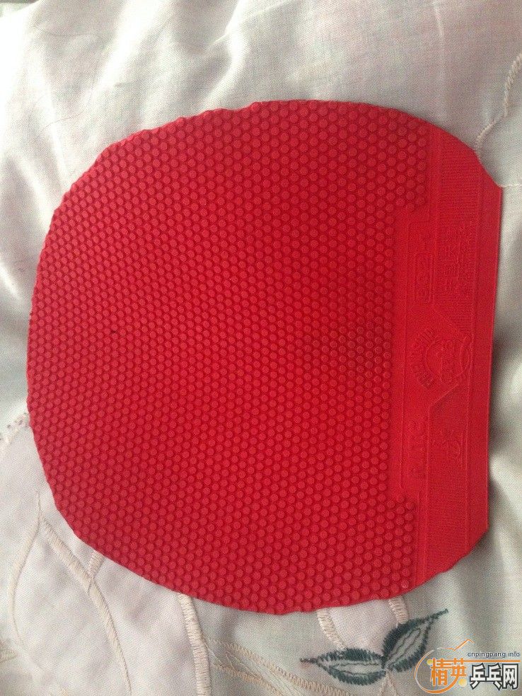 ����������TAMROPA