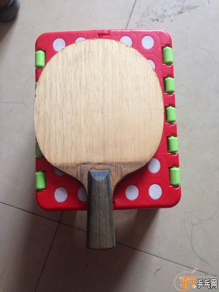 ����������TAMROPA