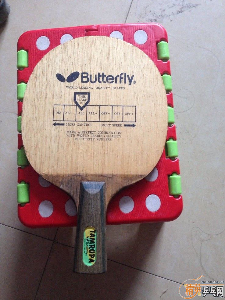 ����������TAMROPA