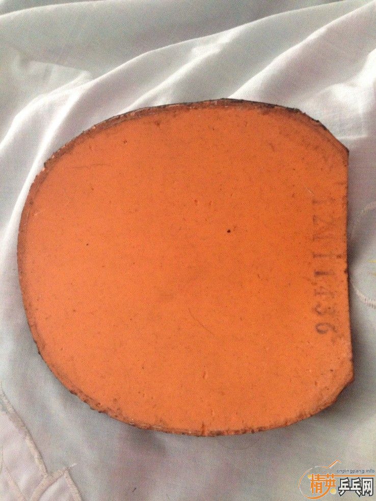 ����������TAMROPA