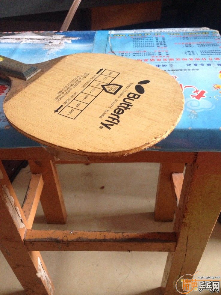 ����������TAMROPA