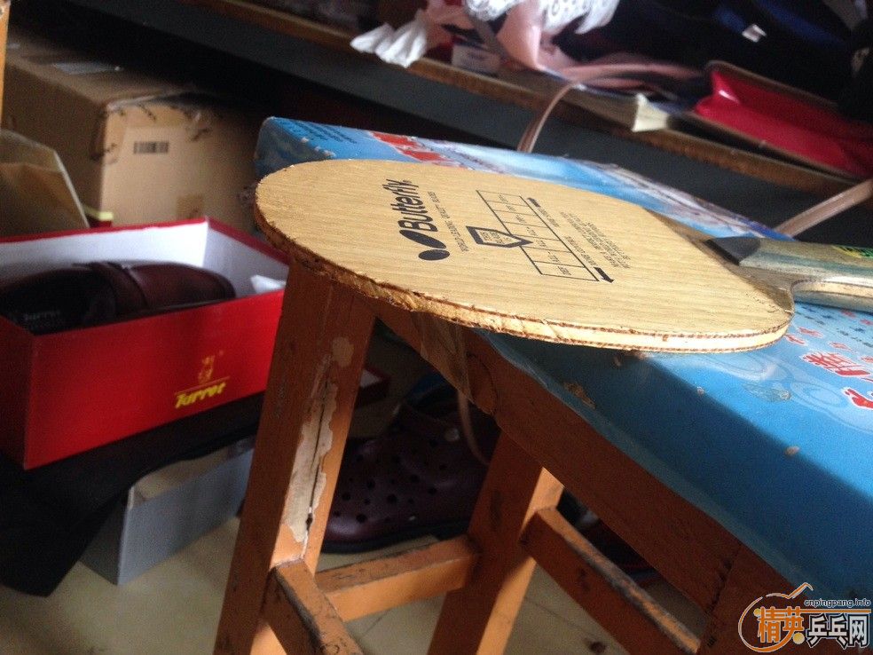 ����������TAMROPA