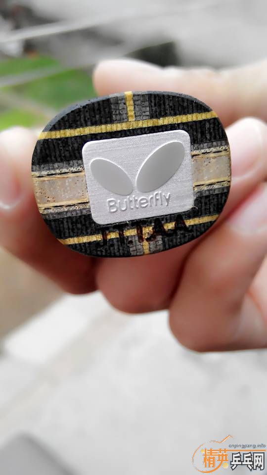 �������ż̿�ZLC��9��9�£�